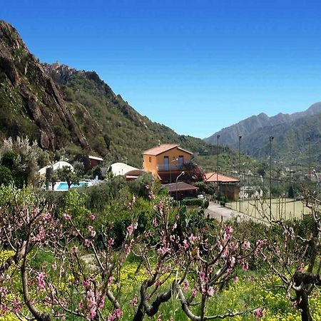 Agriturismo Ghiritina 弗兰卡拉希塞尔 外观 照片