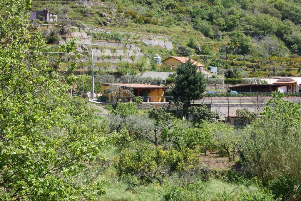 Agriturismo Ghiritina 弗兰卡拉希塞尔 客房 照片