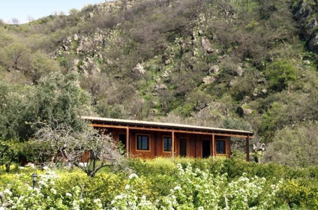Agriturismo Ghiritina 弗兰卡拉希塞尔 外观 照片